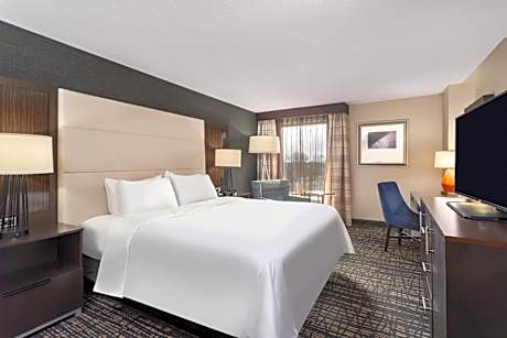 King Room - Mobility Access/Hearing Accessible