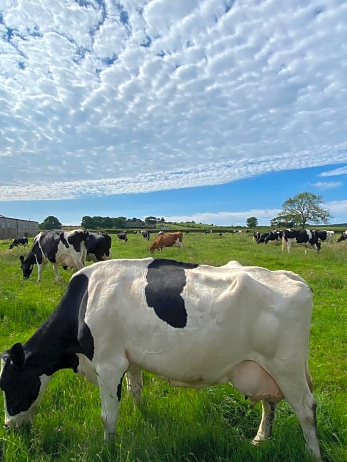 White House Farm - Beautiful Self Contained Courtyard Rooms