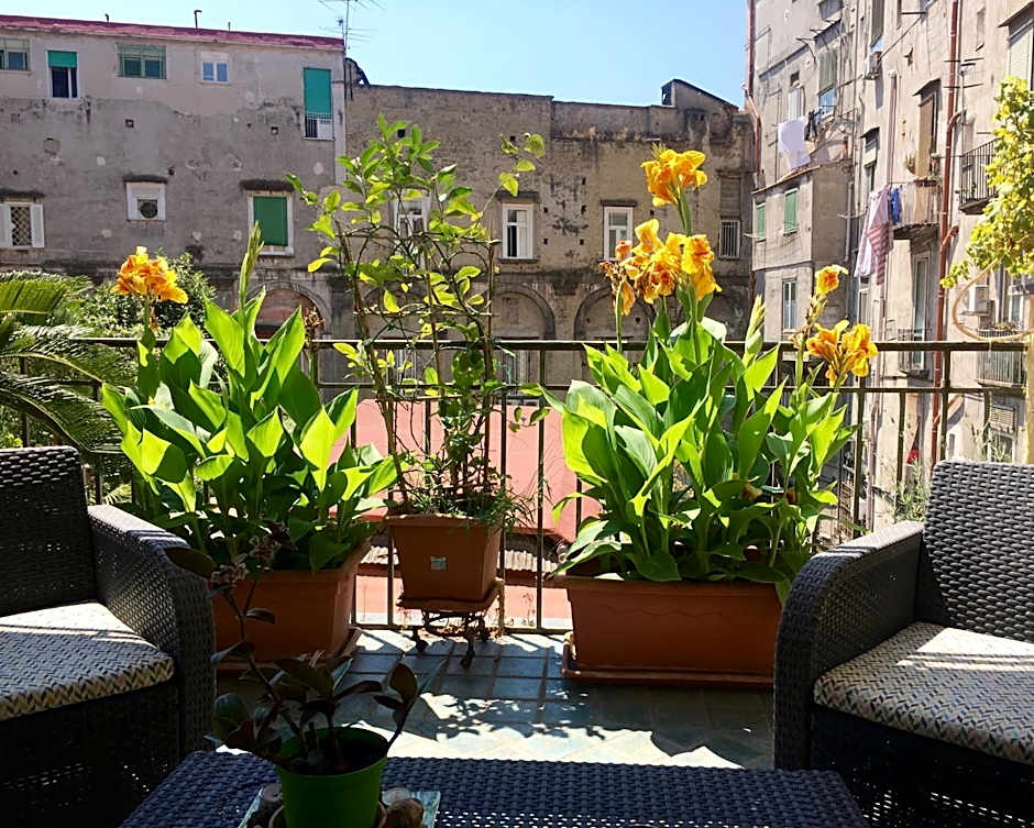 B&B Bellini