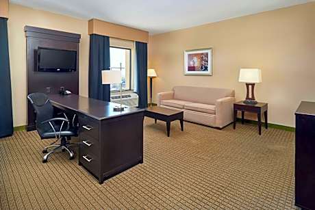1 King Bed Studio Suite Nonsmoking