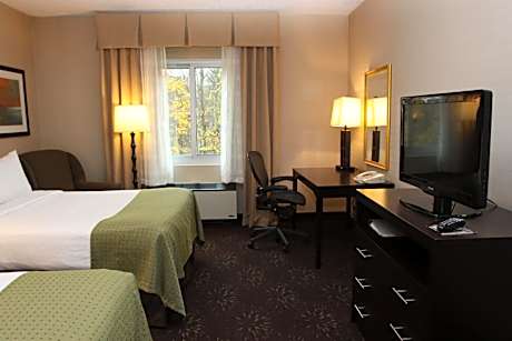 Standard Double Room with Two Double Beds
