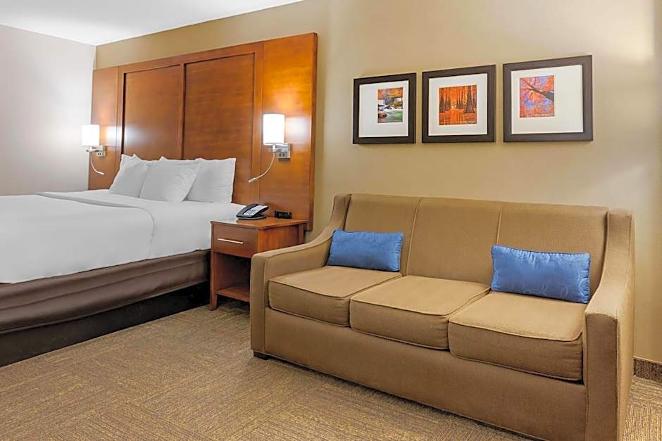 Comfort Inn & Suites Presidential