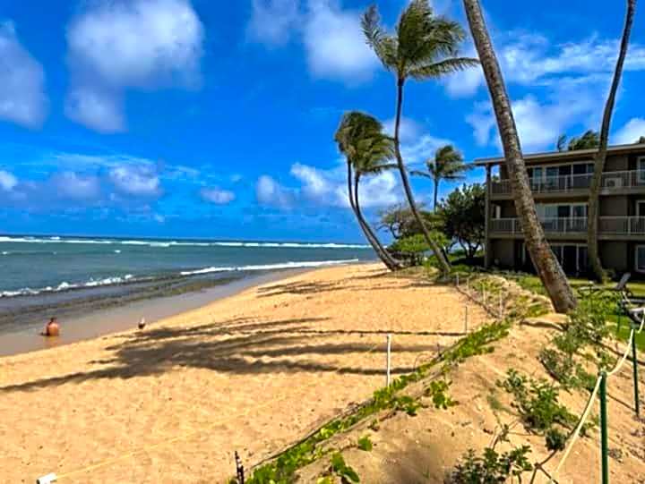 Kauai Kailani