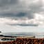 Torel Terra Brava