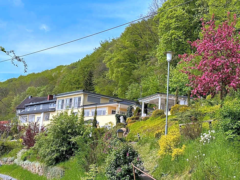 Villa Schaumburg - Boutique Hotel