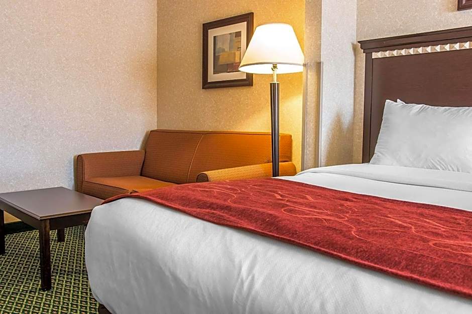 Comfort Suites Canton - Detroit