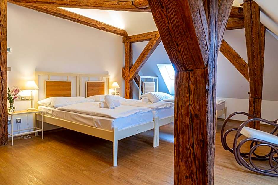 Hotel Zámek Svijany