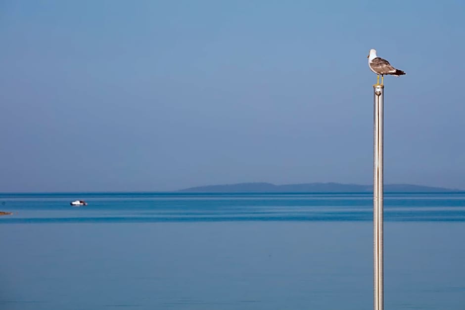 Boutique Residence Sundays