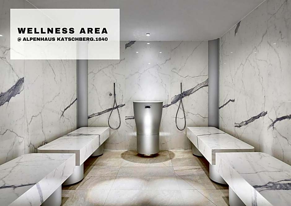 HERBERT - Boutique Apartments inkl Lungau Card