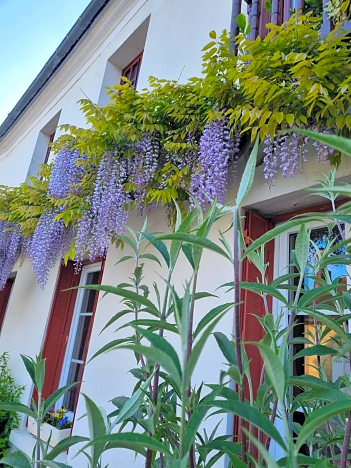 Les Glycines de Monchy- Chambres d'hôtes