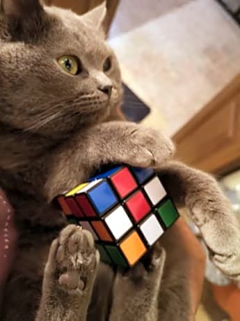 Bed in 6-Bed Mixed Dormitory Room