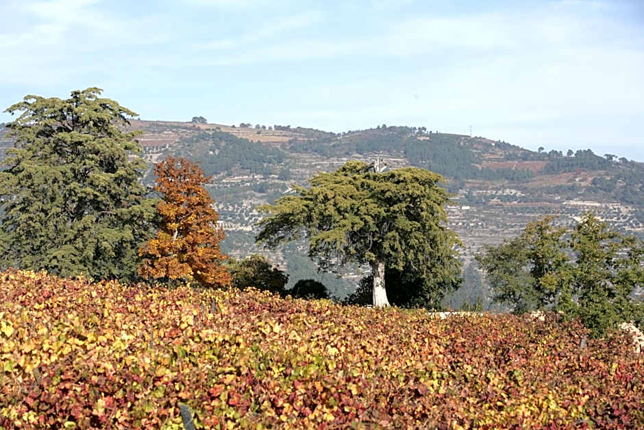 Hotel Rural Casa dos Viscondes da Varzea