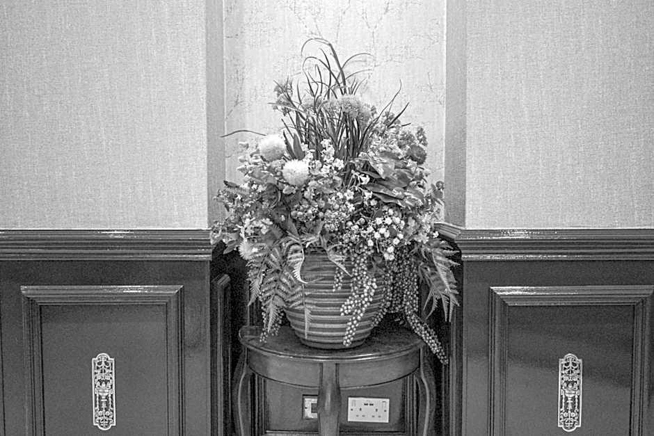 PEMBRIDGE PALACE HOTEL