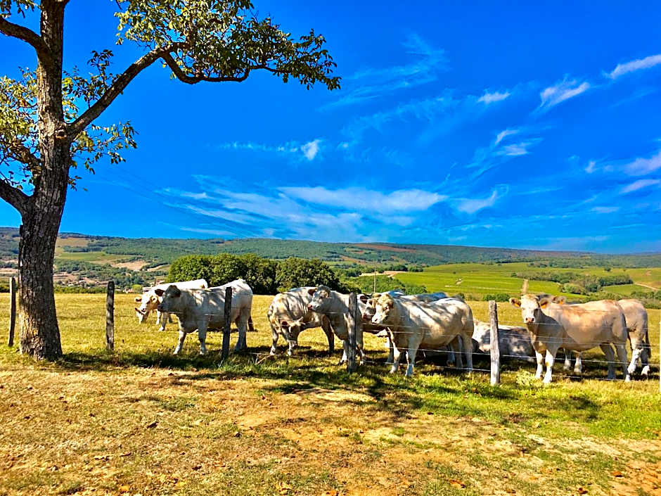 Domaine Joseph LAFARGE Wine Resort B&B