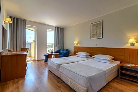 Superior Twin Room with Pool or Park View and balcony (2 adults + 1 child up to 11.99 years old)