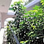Myriama Apartments