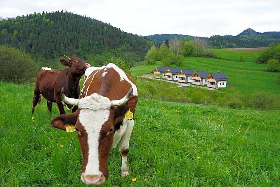 Rekreačna usadlosť Pieninka