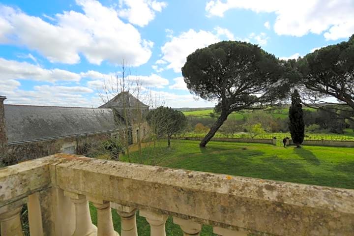 Vignoble Château Piéguë - winery