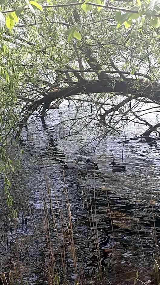 Landhaus am Schaalsee