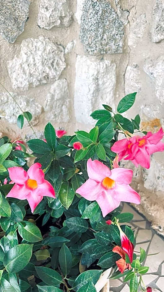 B&B Casale Pietrantica Tropea