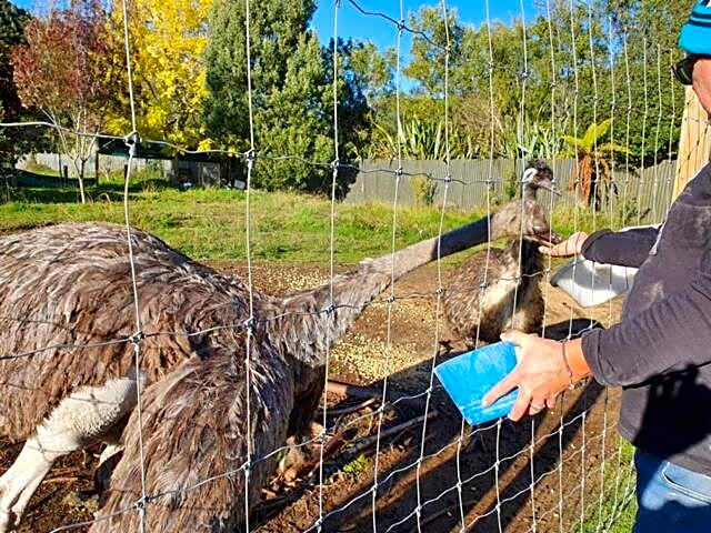 Oasis Motel & Holiday Park Turangi