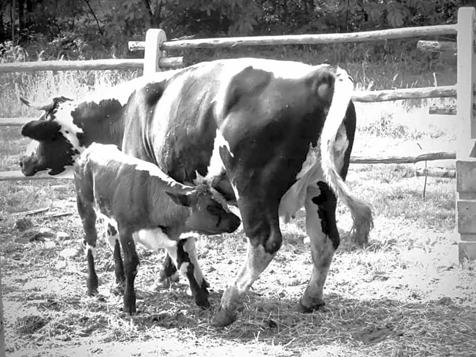 Agriturismo Parco Campofelice