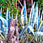 HavaSuPark Bungalows