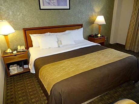 King Room - Disability Access/Non-Smoking