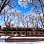 Sagebrush Inn & Suites
