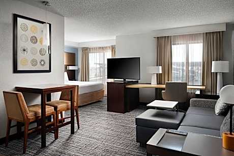 Studio, 1 King Bed with Sofa bed (1 King Bed and 1 Double Sofa Bed)