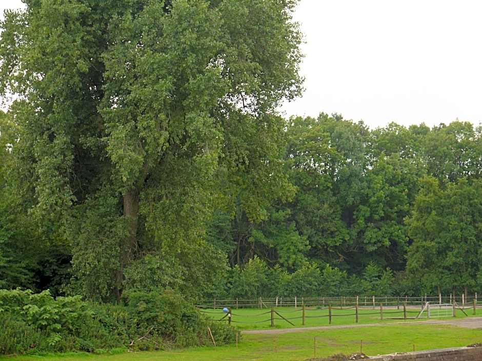 Ruhrstadtarena Hotel