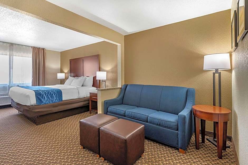 Photo 1 of 4 of 1 King Bed with Sofabed Suite