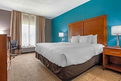 1 King Bed Nonsmoking Accessible