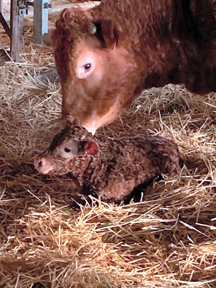 les hébergements de la ferme des buttons
