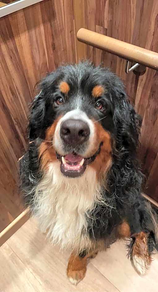 Hotel Restaurant Neu Meran