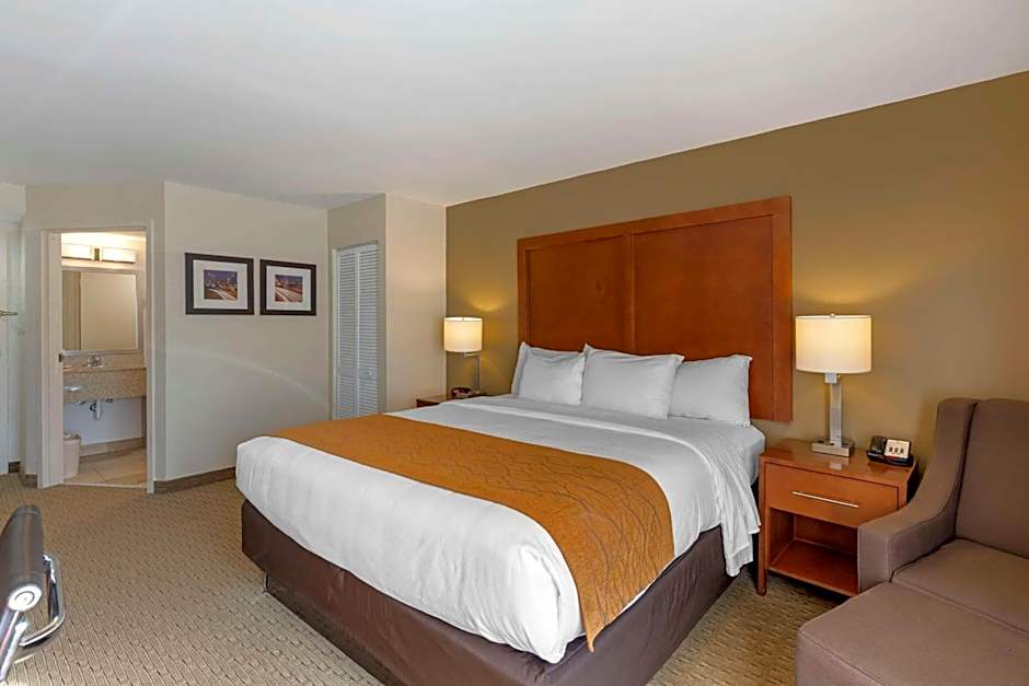 Comfort Inn Kennesaw