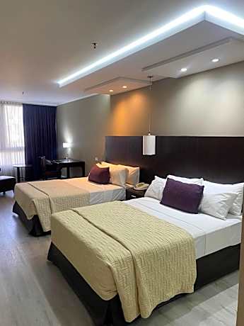 Mobility Accessible Queen Room