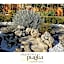 Mamma Puglia Suite & Breakfast
