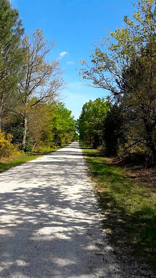 Hôtel Restaurant Les Bruyères