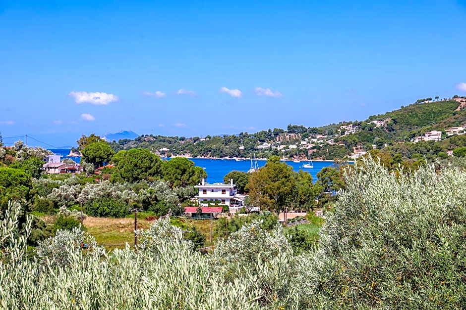 Pandora Studios Skiathos