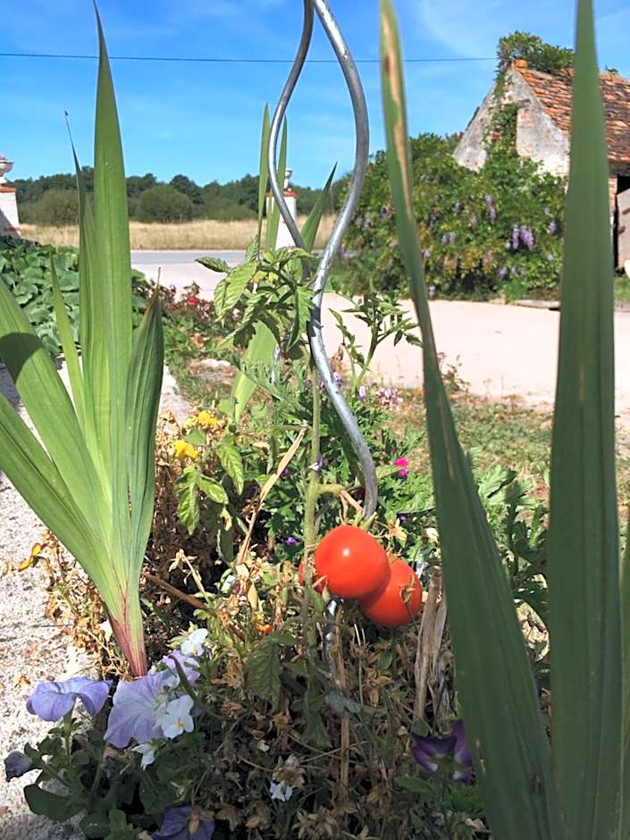 La Ferme de la Maugerie