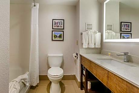 1 King Bed, Suite, Nonsmoking