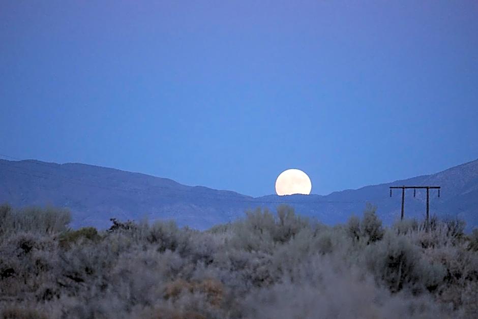 Bristlecone Motel