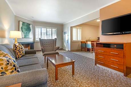 One-Bedroom King Suite with Sofa bed and Kitchen - Non-Smoking