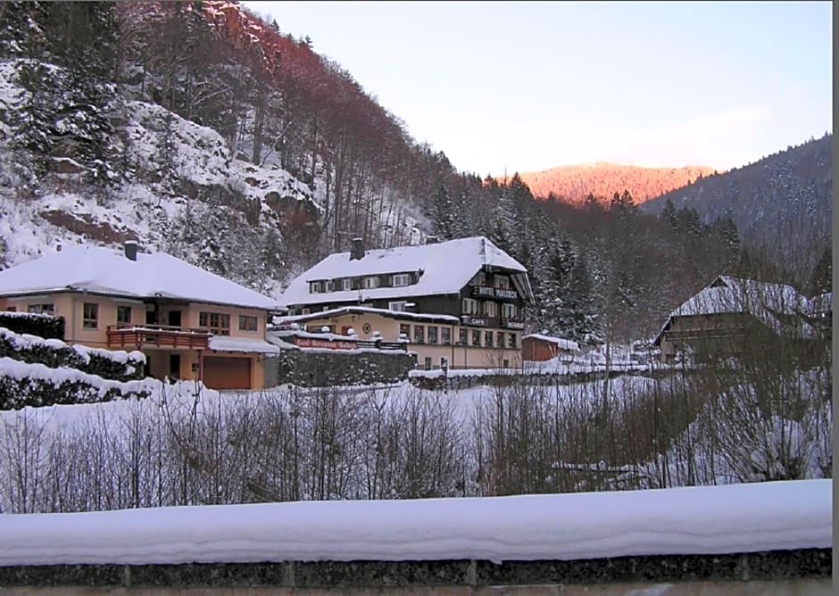 Hotel Waldeck in Todtnau