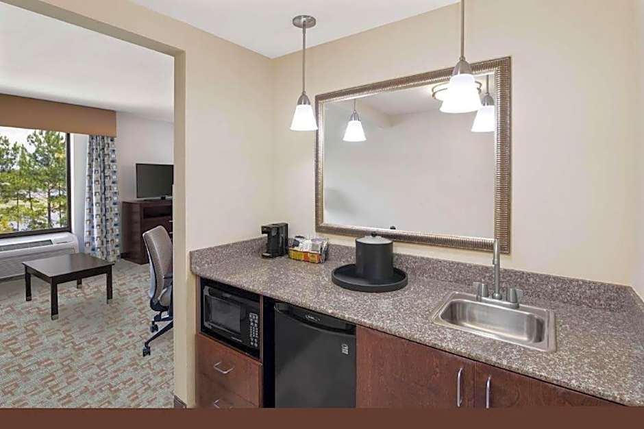 Hampton Inn By Hilton And Suites Savannah-Airport