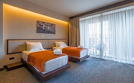 Deluxe Double or Twin Room with Balcony