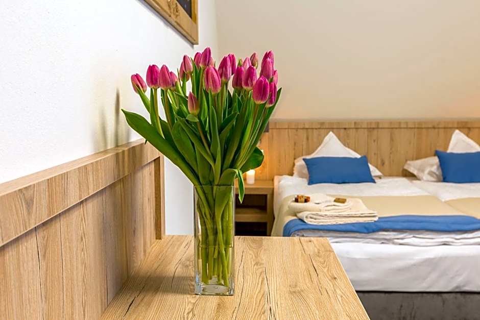 Grand Tatry - miejsce na wyjątkowy pobyt dla Ciebie i Twojej rodziny! - sauna i jacuzzi wliczone w cenę pobytu - 10 minut pieszo od Term Bania