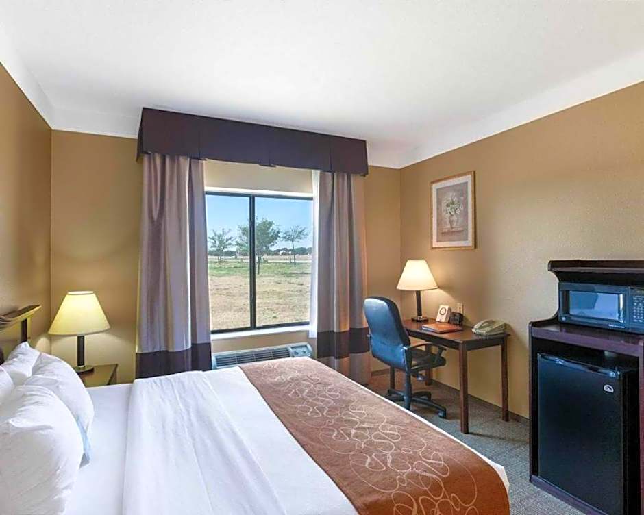 Comfort Suites Plainview
