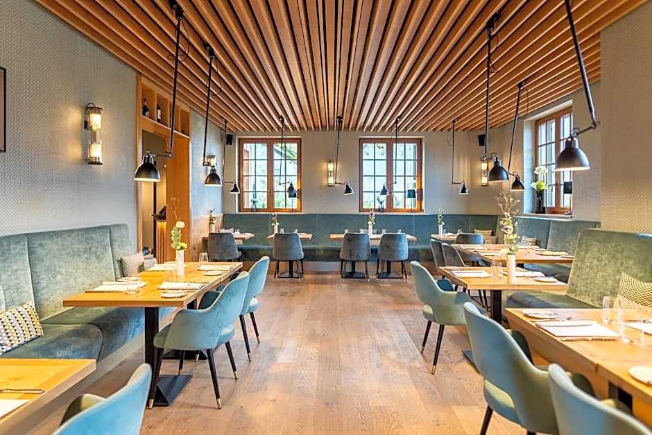 Goldammer Aschaffenburg